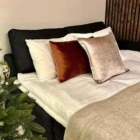 Wolf Street Spirit, Free Parking N Nearby Bus Stop Apartment *